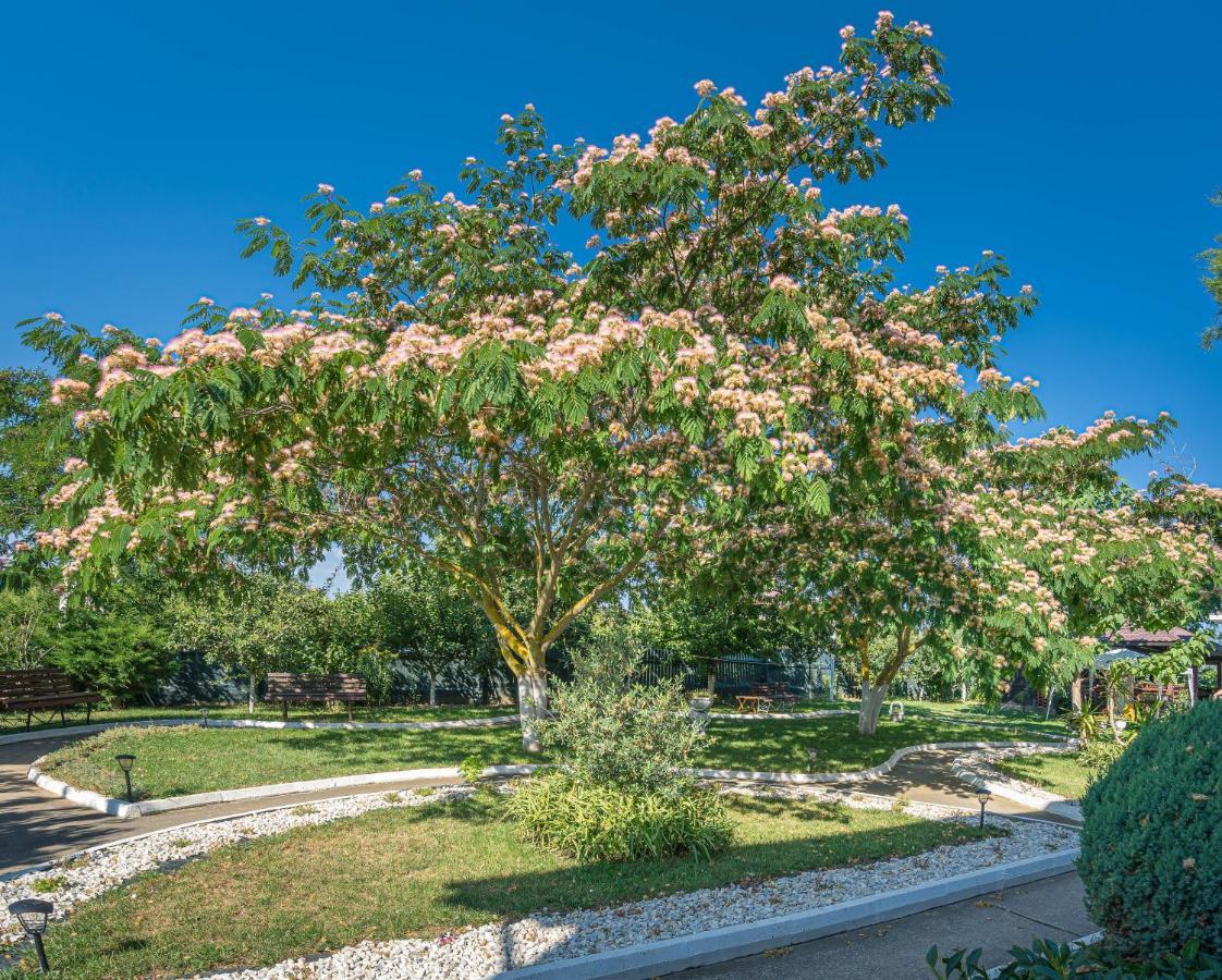 Vila Cataleya Venus Ngoại thất bức ảnh